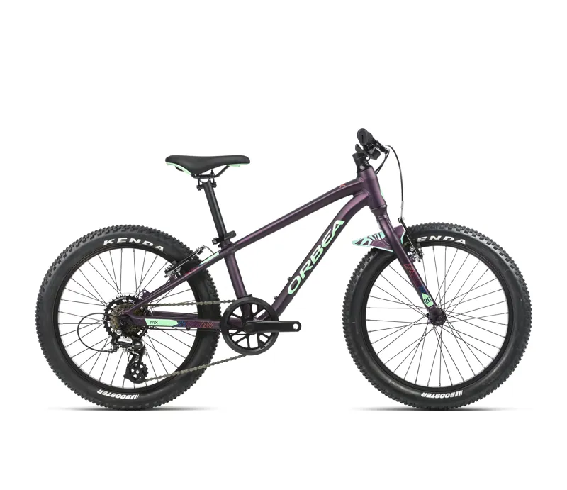Orbea